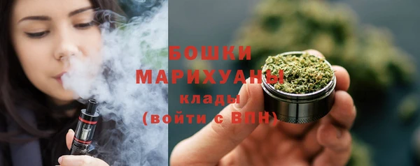 соль ск Арсеньев