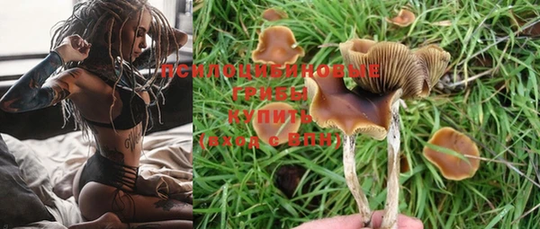 дживик Аркадак