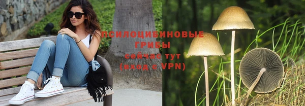соль ск Арсеньев